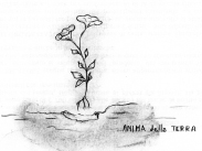 missing image file