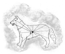 missing image file