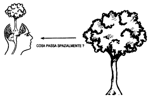missing image file