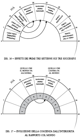 Dis.p117.pdf